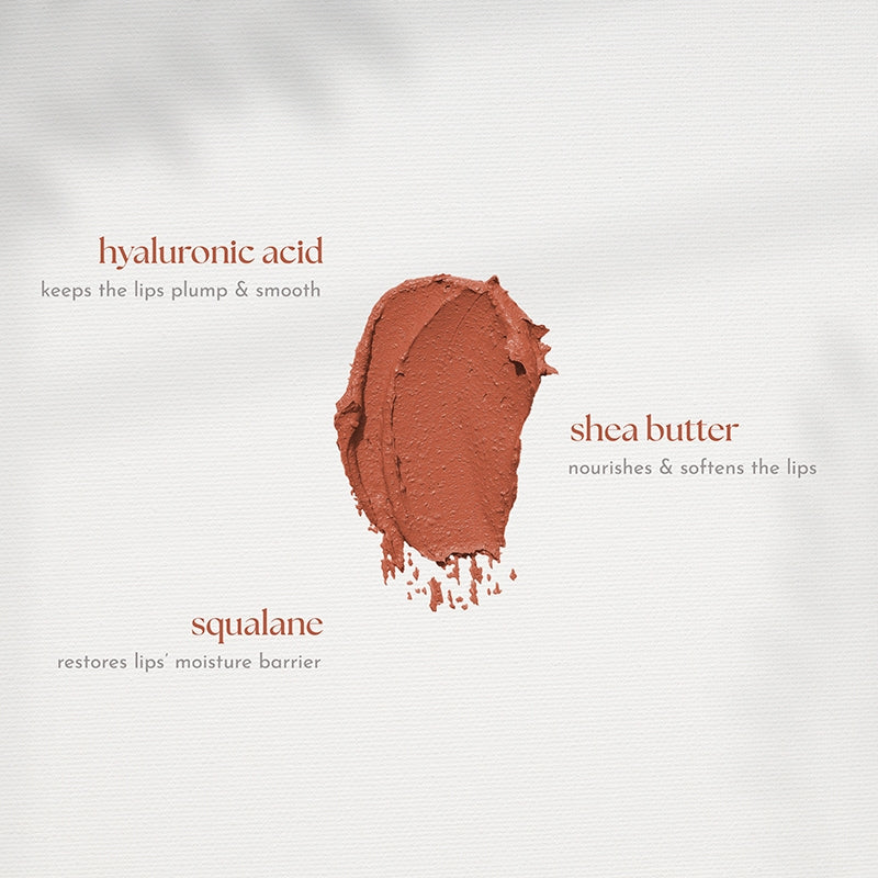 Absidy Cashmere Kiss Matte Lipstick in Pumpkin Spice
